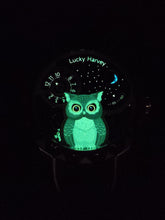 將圖片載入圖庫檢視器 Lucky Harvey貓頭鷹