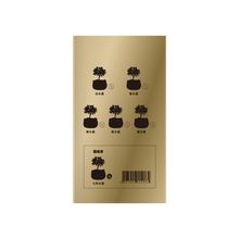 Load image into Gallery viewer, Fidi水晶樹盲盒
